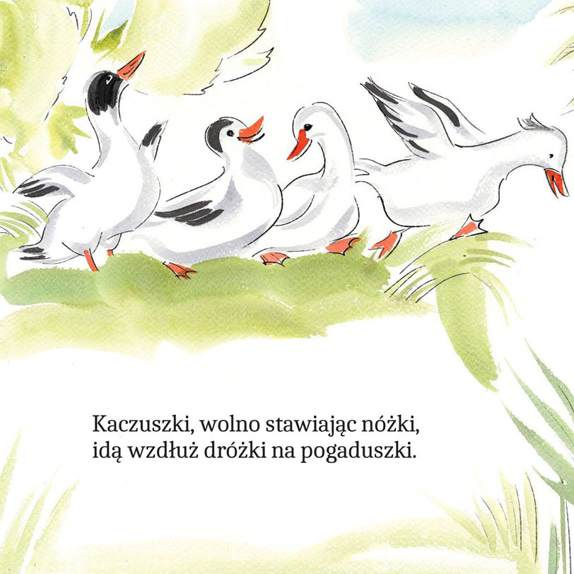 Zwierzątka na wsi