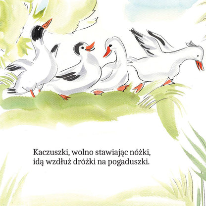 Zwierzątka na wsi