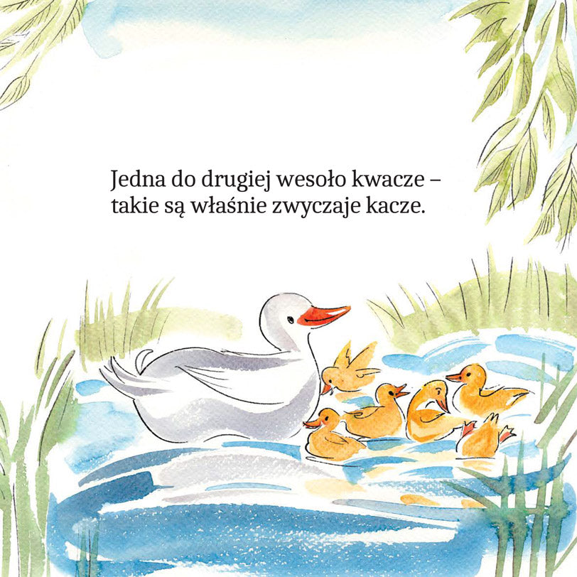 Zwierzątka na wsi