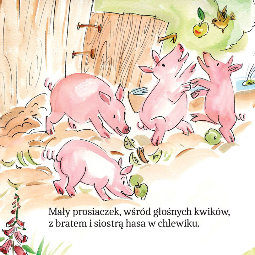 Zwierzątka na wsi