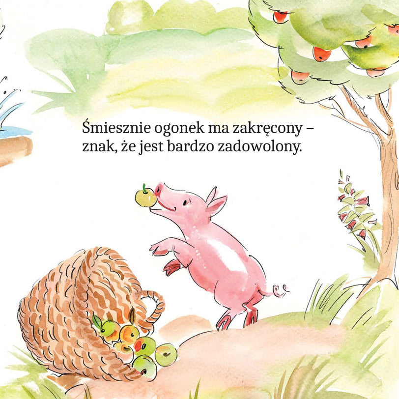 Zwierzątka na wsi